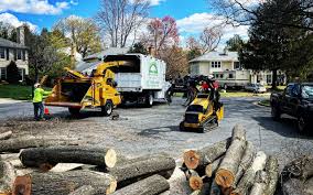 How Our Tree Care Process Works  in  Pine Knot, KY