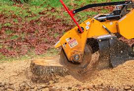 Best Lawn Pest Prevention  in Pine Knot, KY